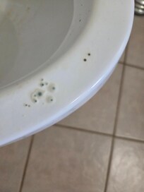 Mold on upstairs Toilet