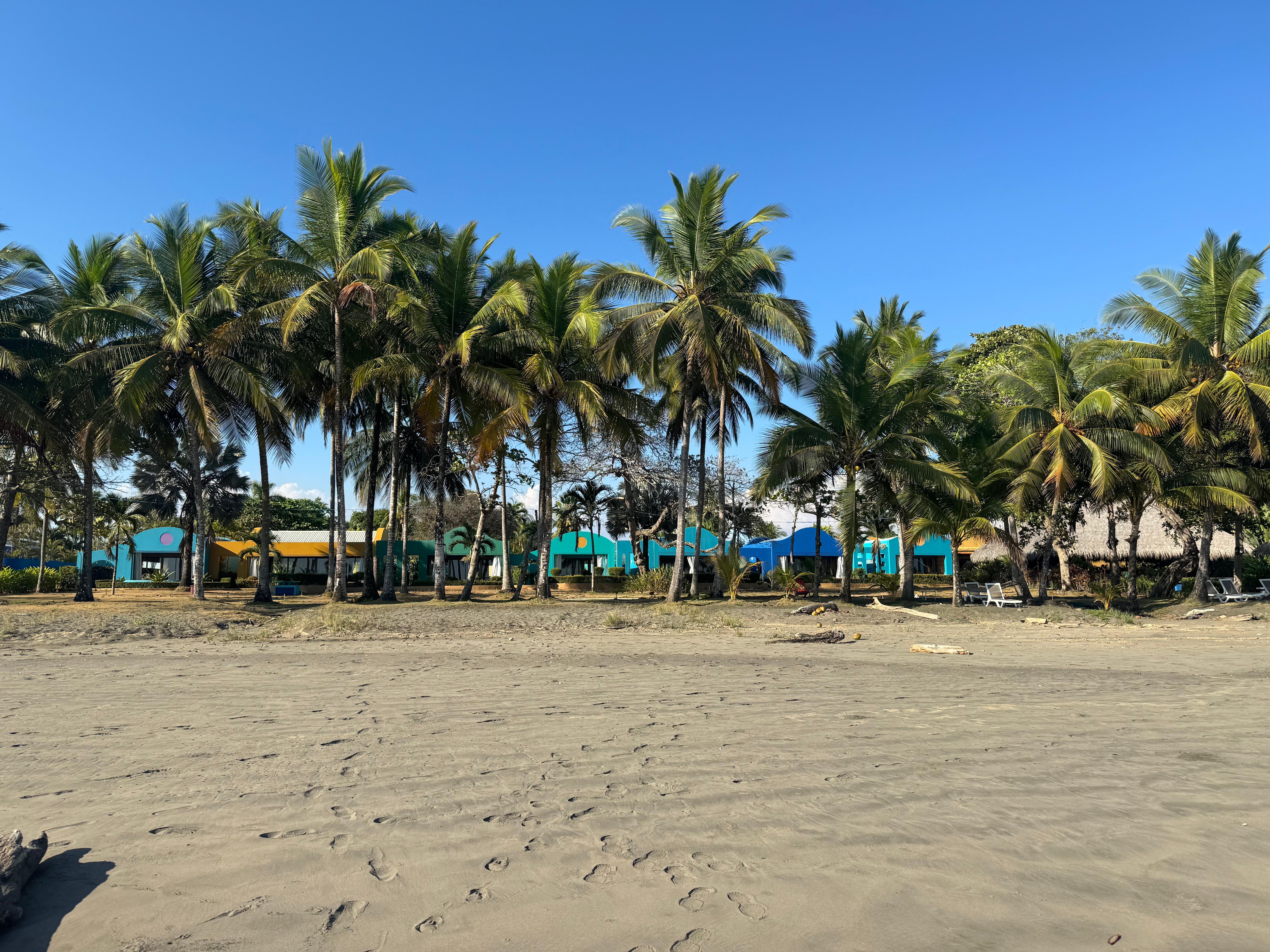 The beach looking at our room. 