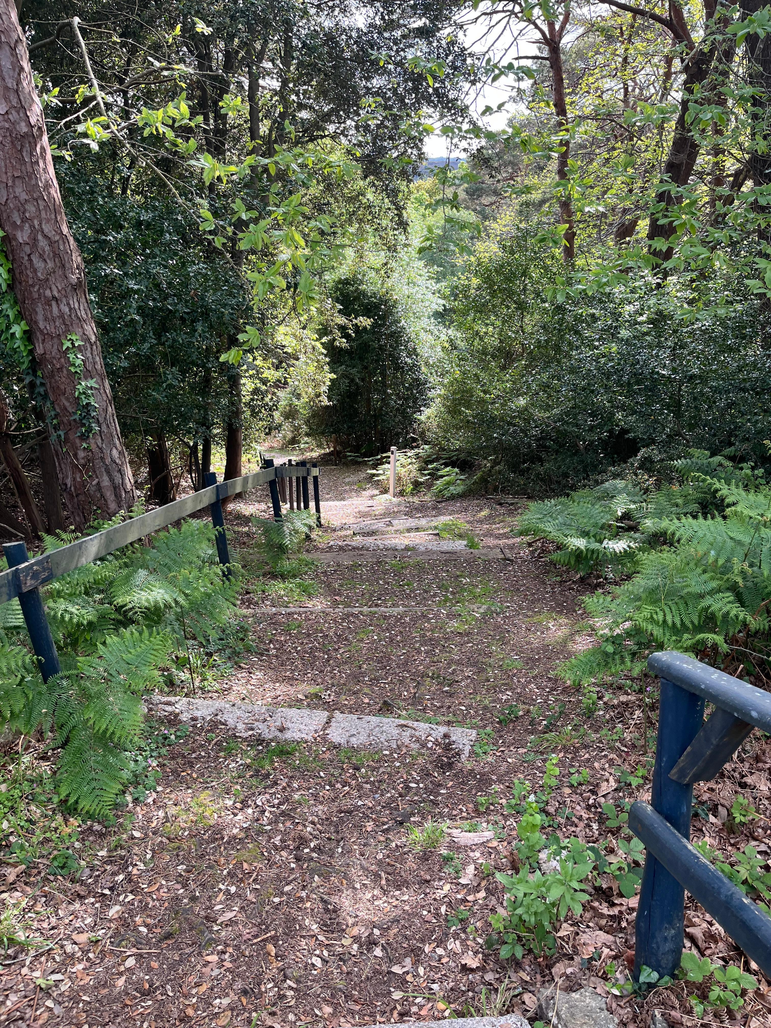 Lovely walk in the grounds 