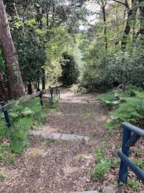 Lovely walk in the grounds