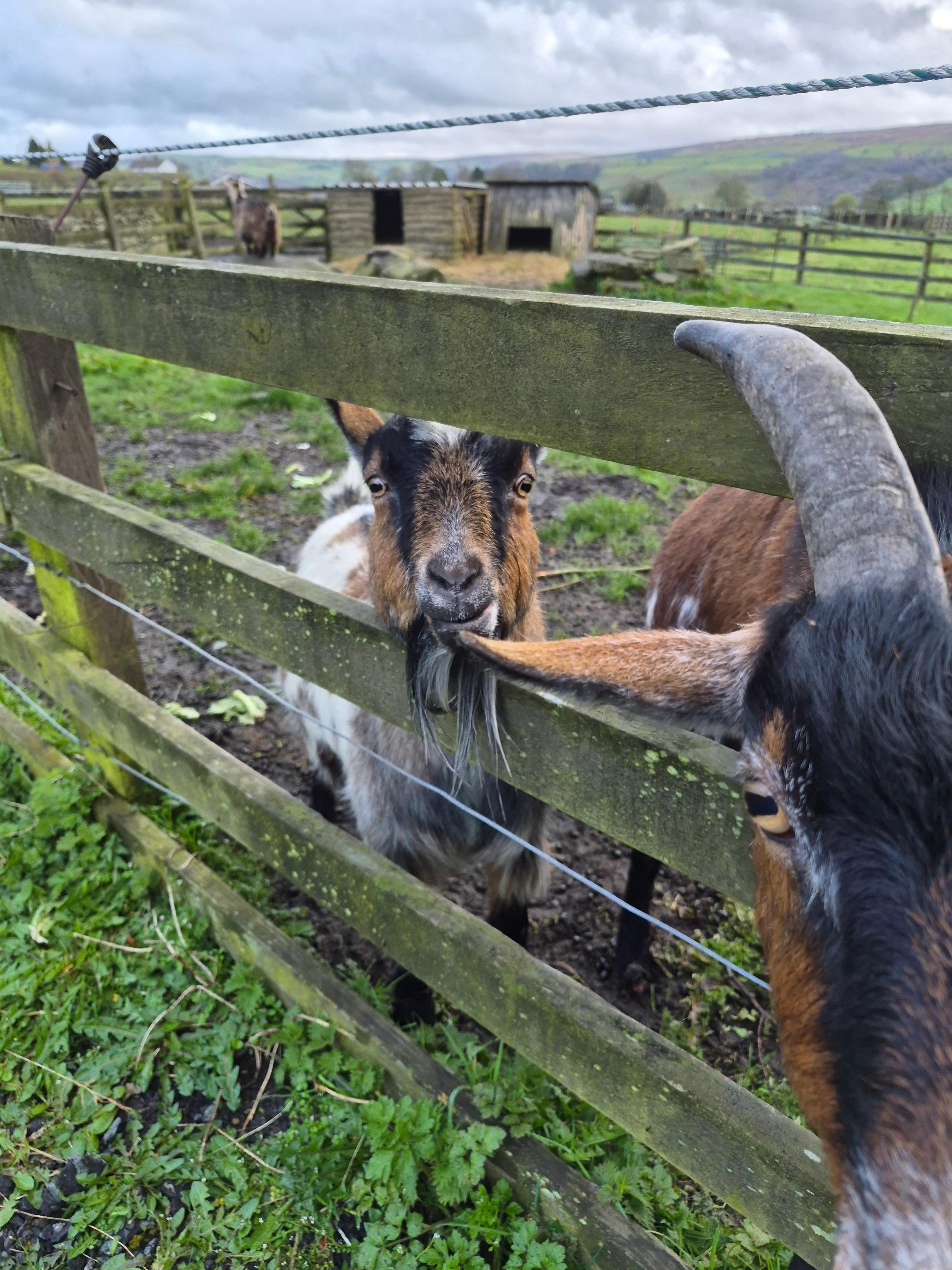 Meet the neighbours 