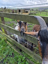 Meet the neighbours