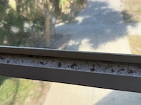 Window sill