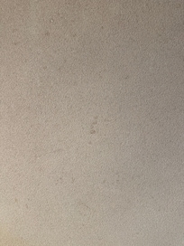 牆壁上是否長了霉菌?