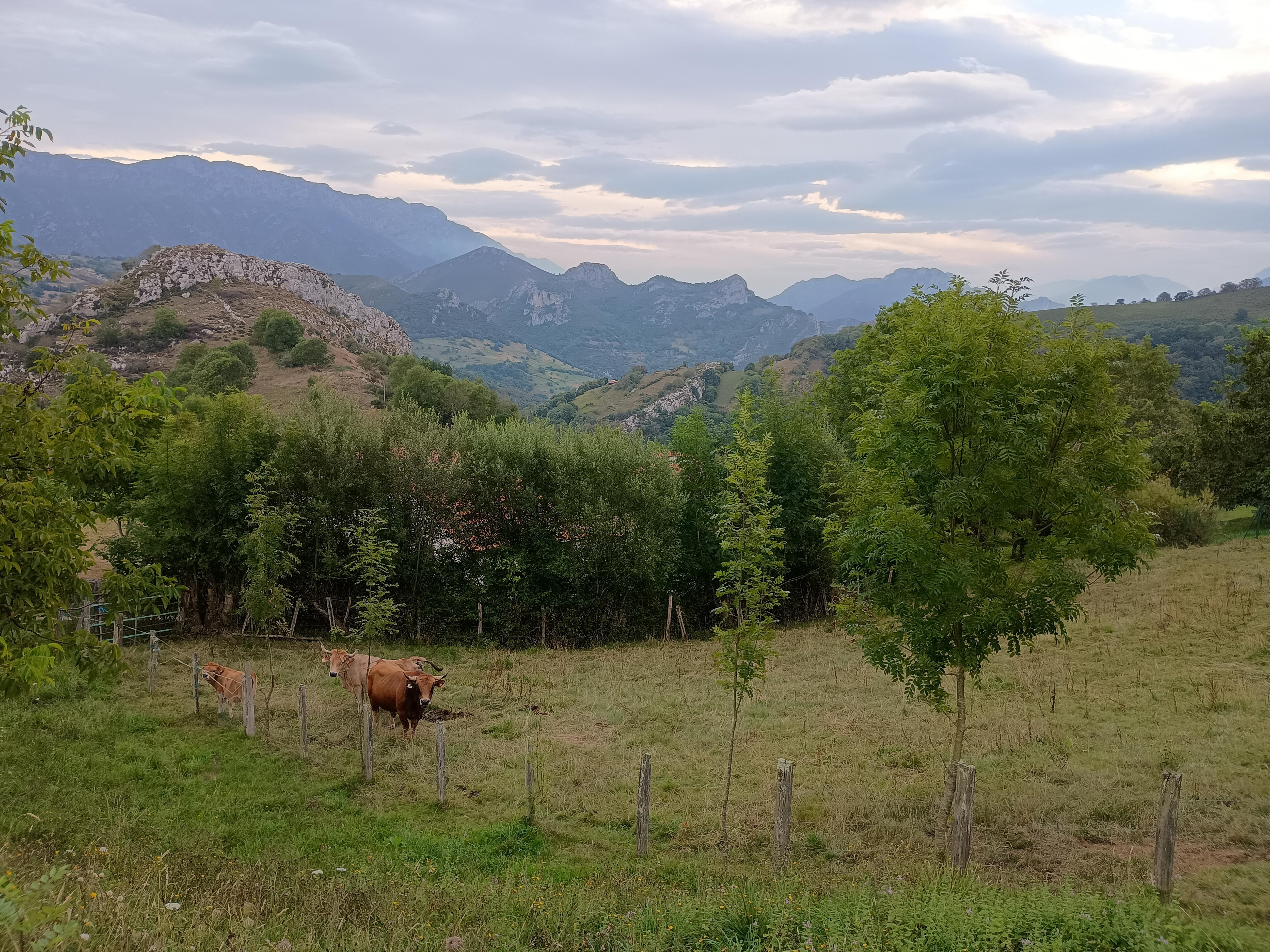 From a walk around Berodia