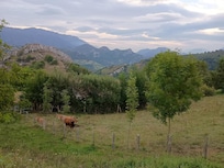 From a walk around Berodia