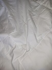 Rips in duvet