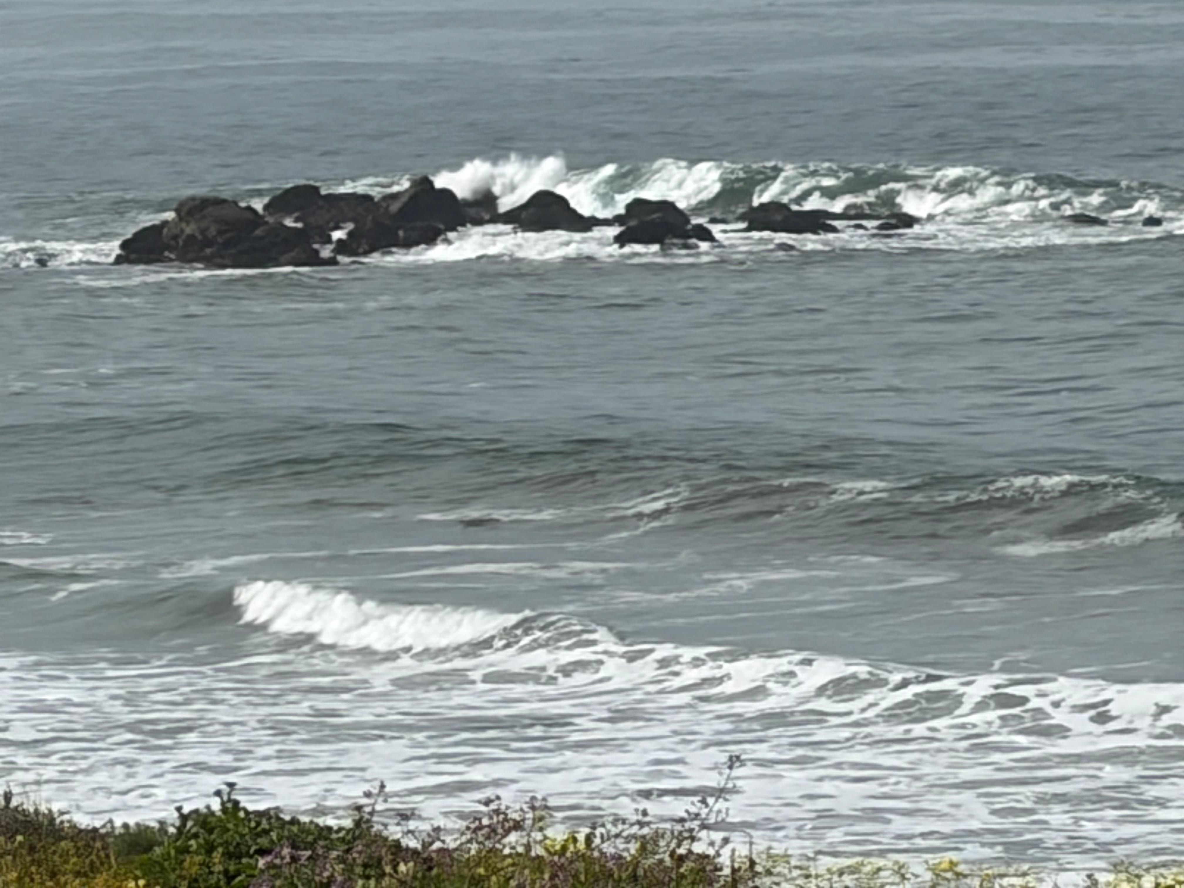In front of Cambria Beach Lodge.