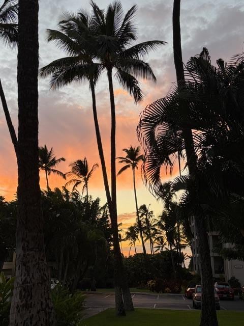 Beautiful sunset view from the condo!