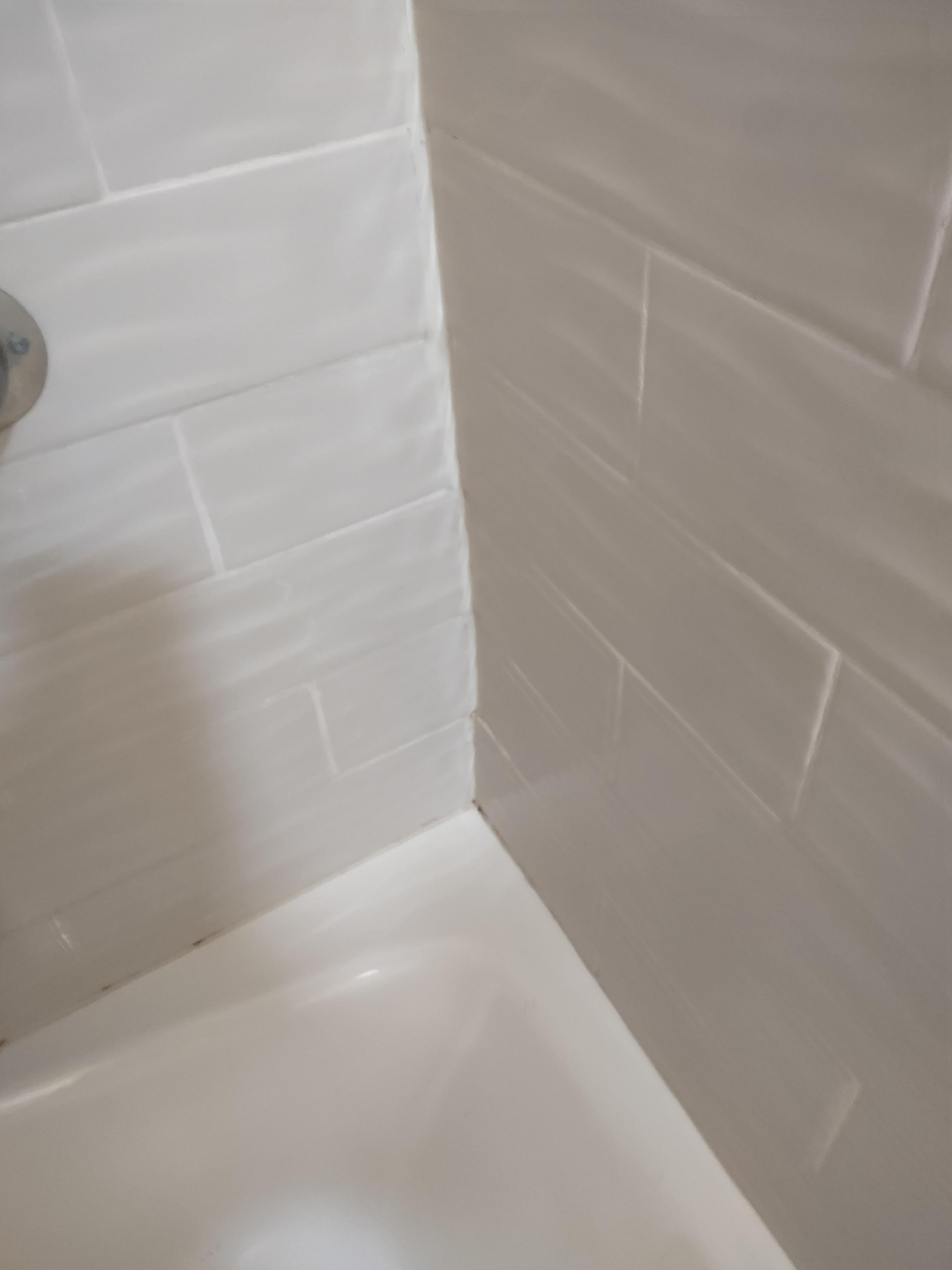 Pink mold/ mildew in the shower