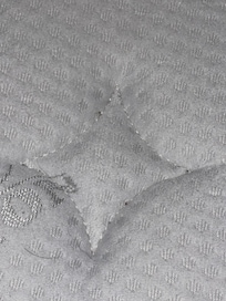 Bed bugs