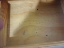Drawer w/ dirt & screws in guest bedroom