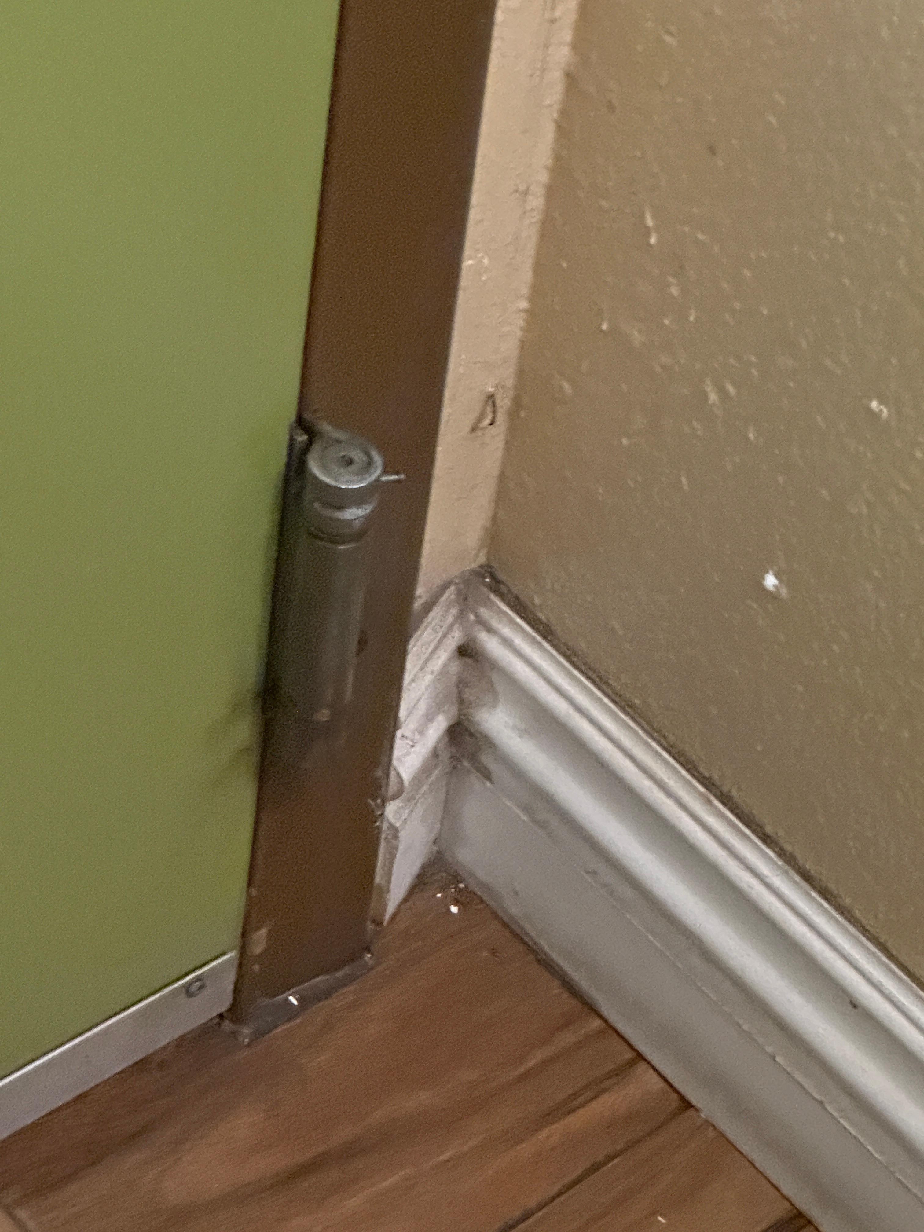 spiders and bugs under and everywhere