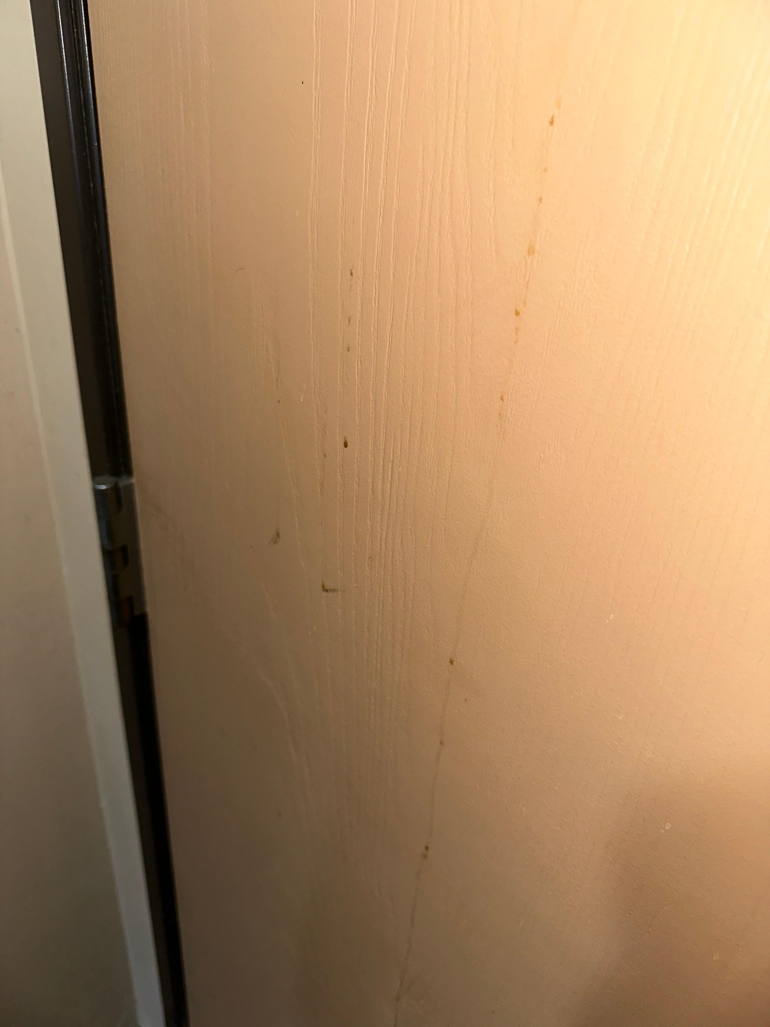 Dried blood on the door