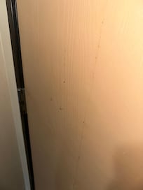 Dried blood on the door