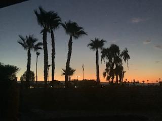 Sunrise from the backyard on our last day.