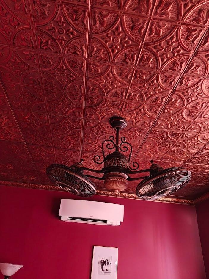 Ceiling in Second Bedroom