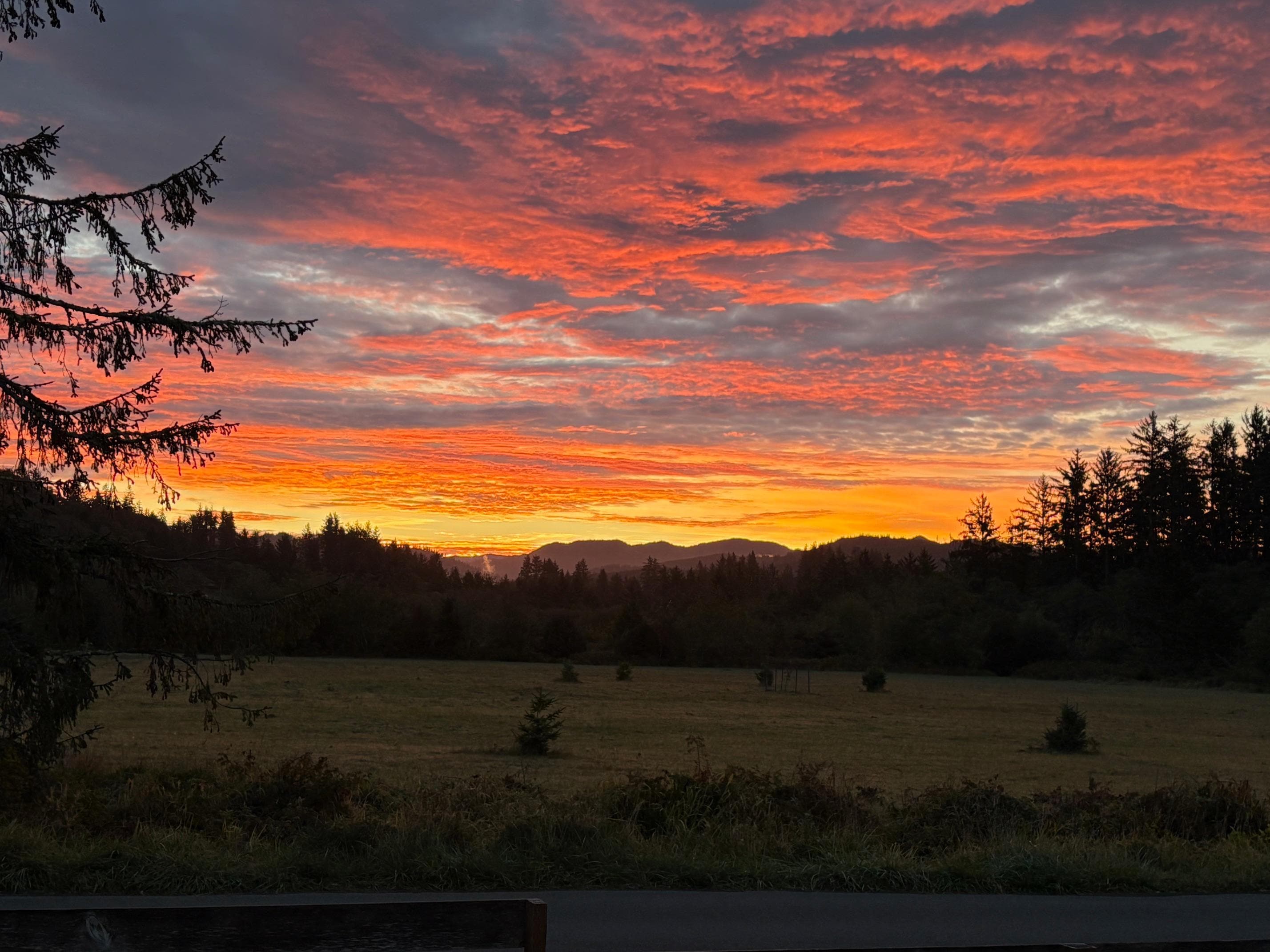 Sunrise over the adjacent meadow