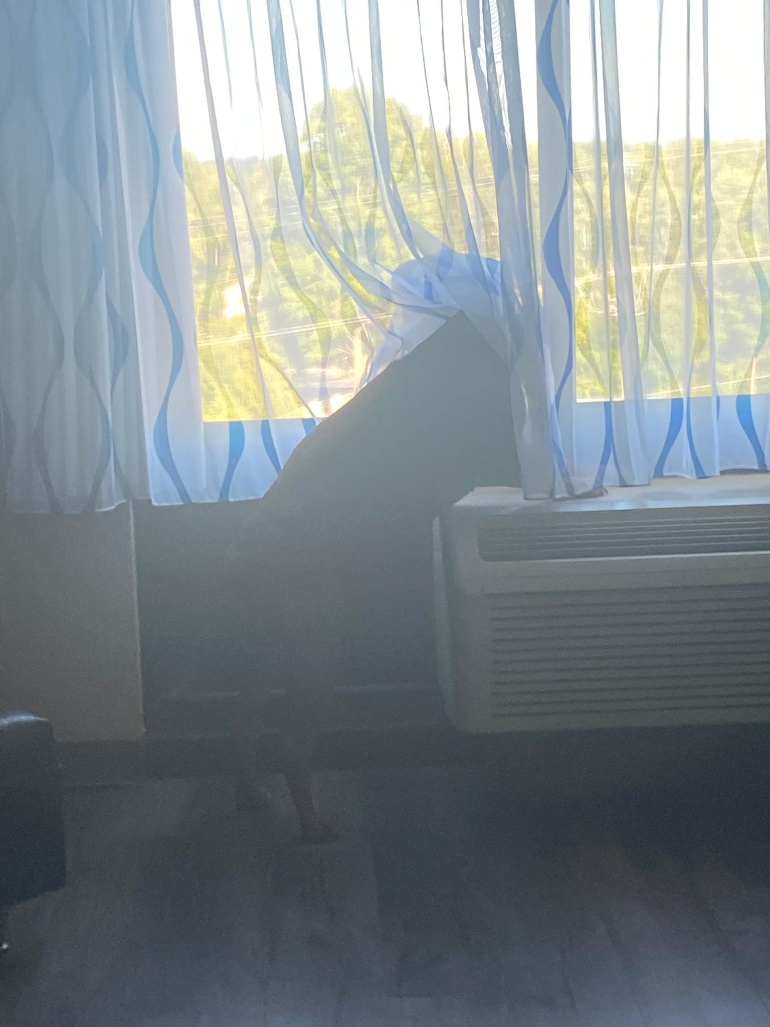 Our girl checking out the view (Stay 1)