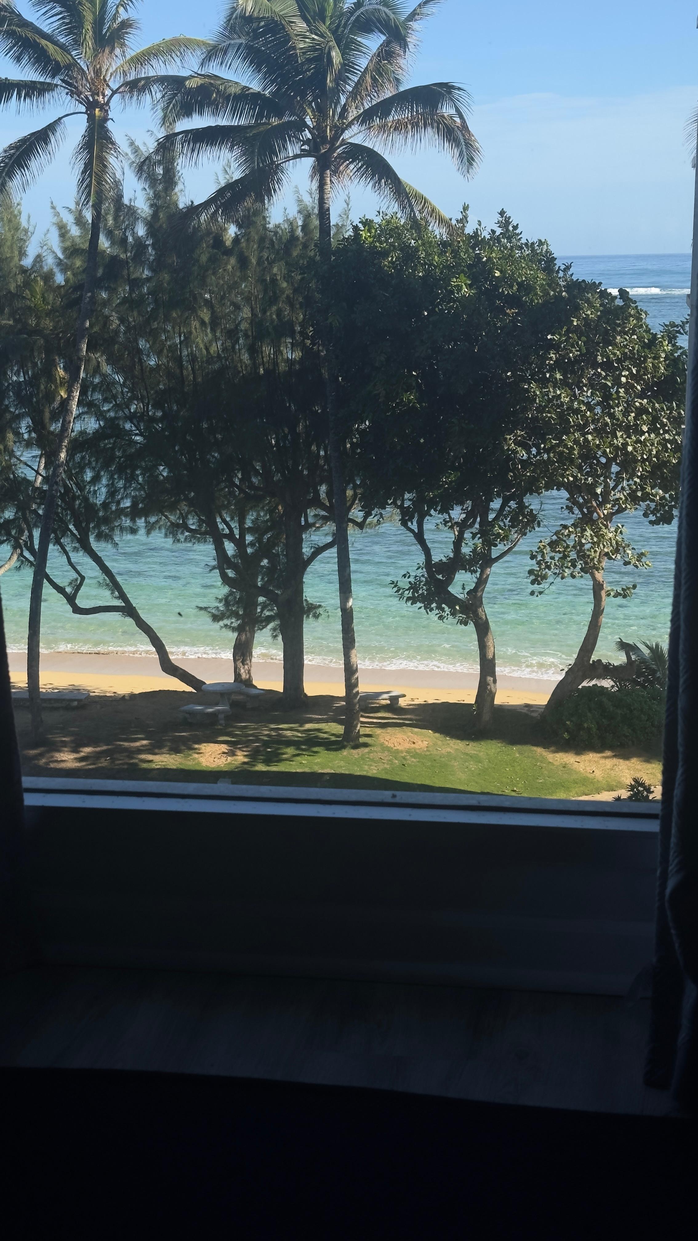 View from the window of our condo 