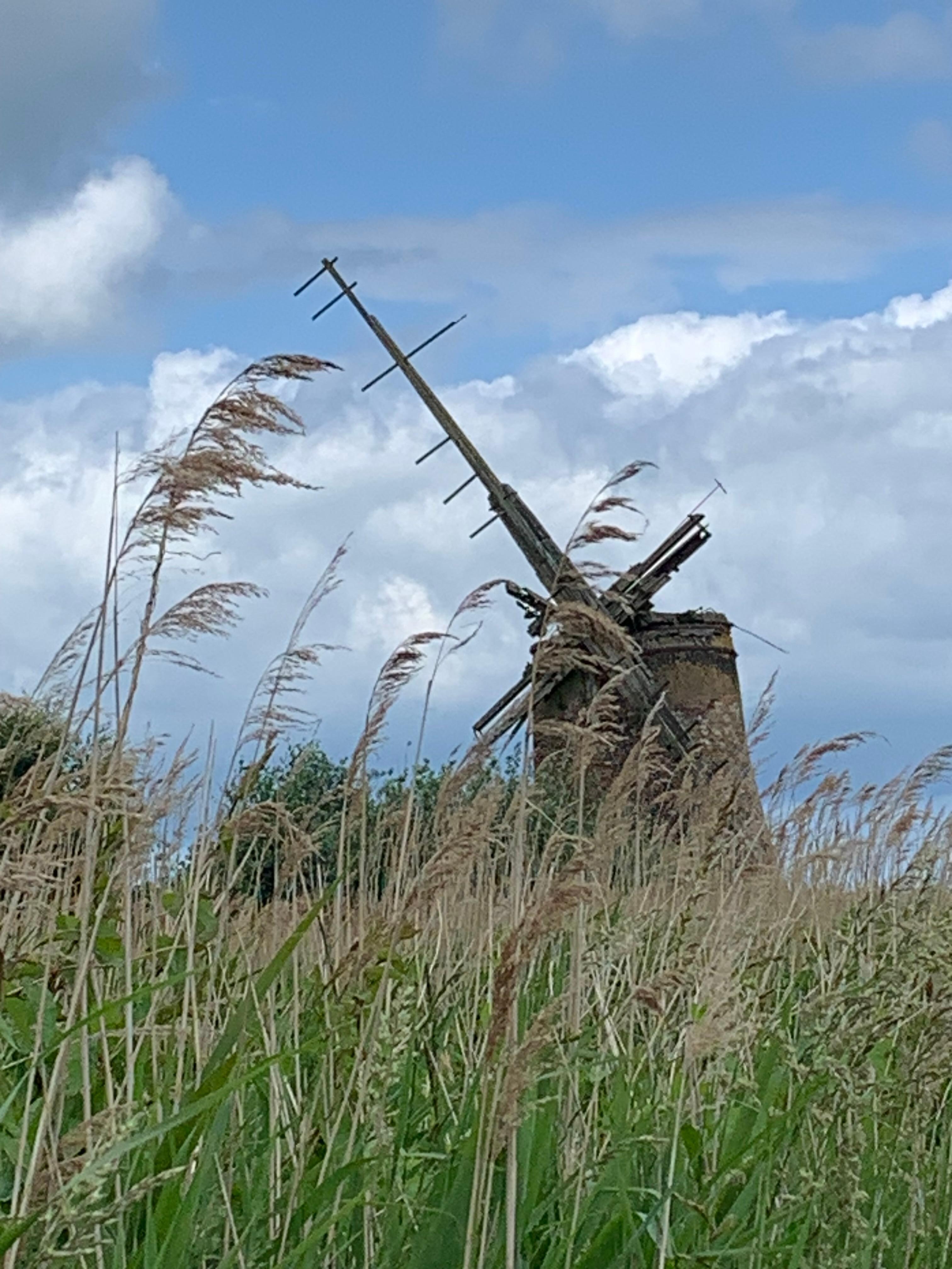 Walk to Acle