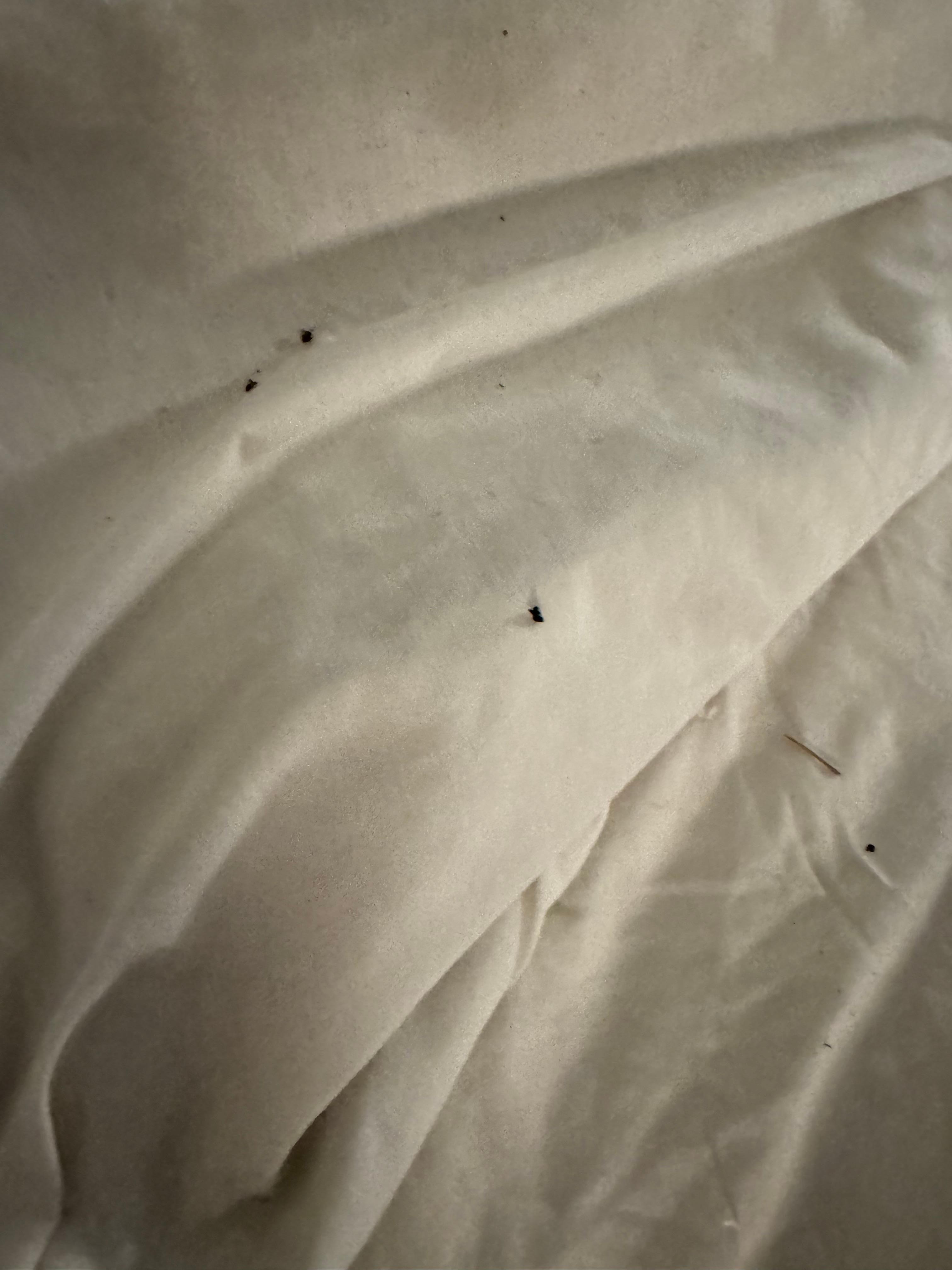 Dirty bed linens