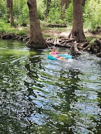 Floating in Cypress creek just behind the house.
