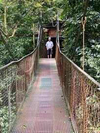 The hanging bridge to our room. No worries, Steel construction and solid. Great place!
