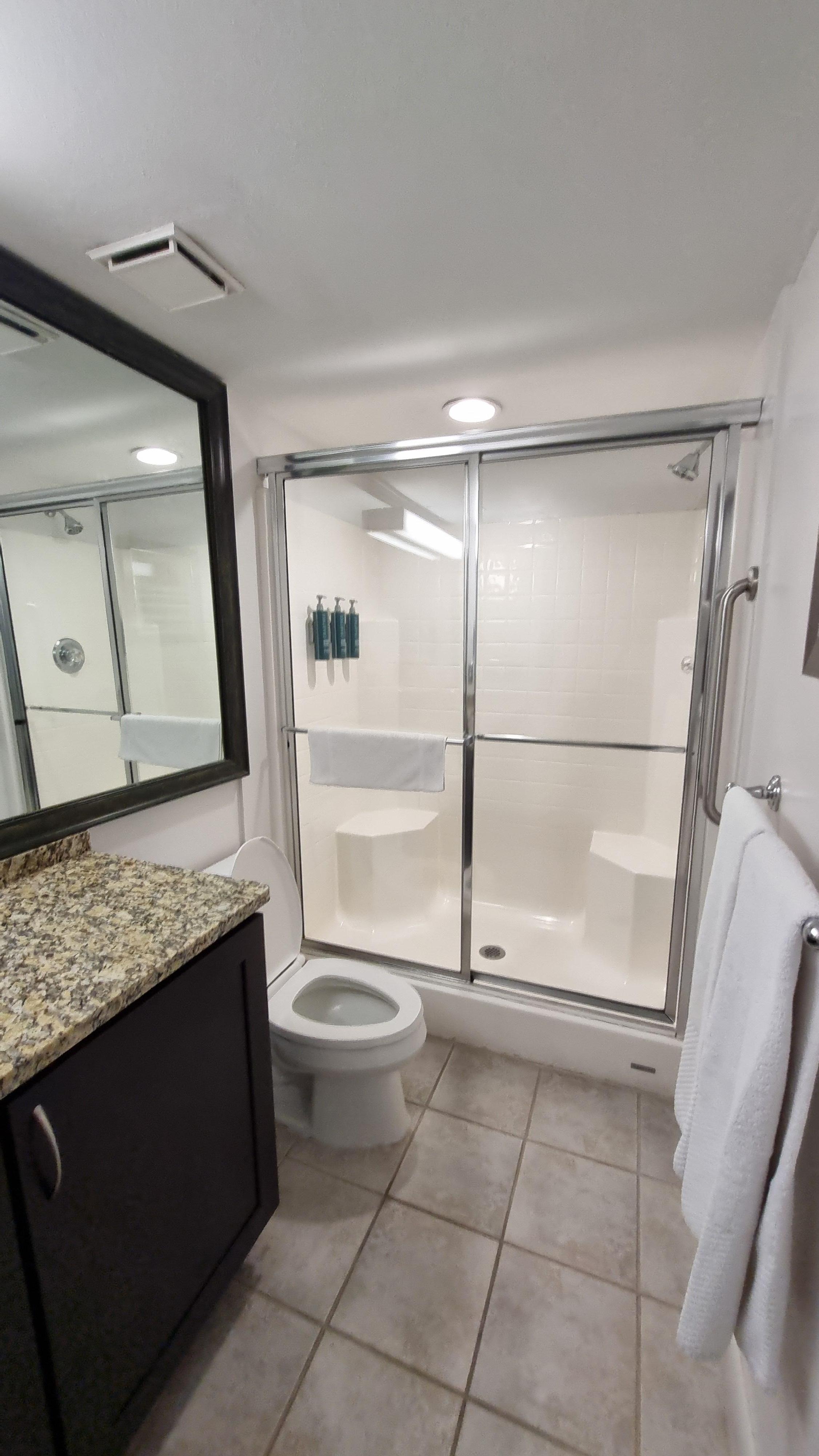 Bathroom and Standing Shower