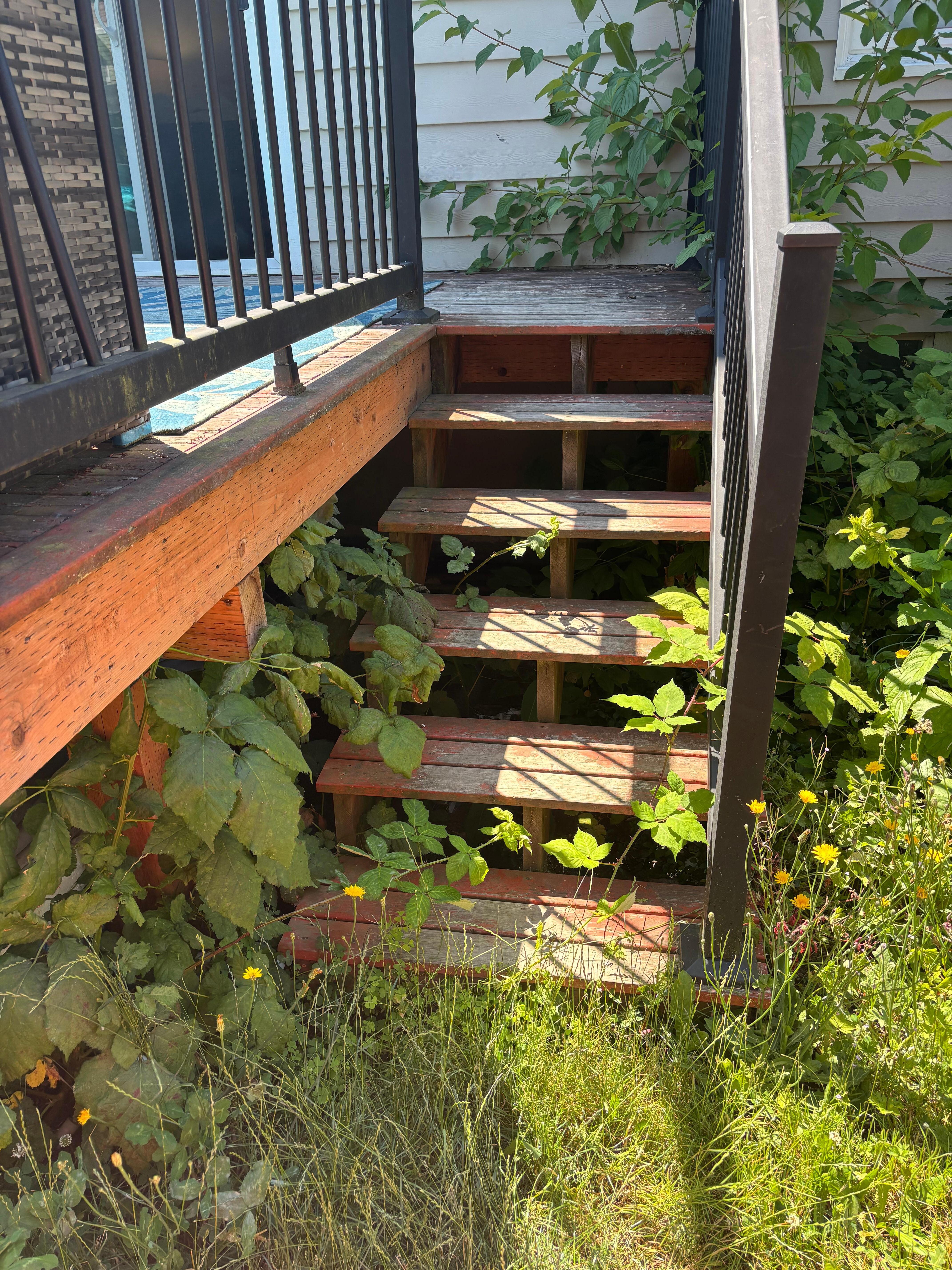 Not properly landscaped to allow for access to the backyard