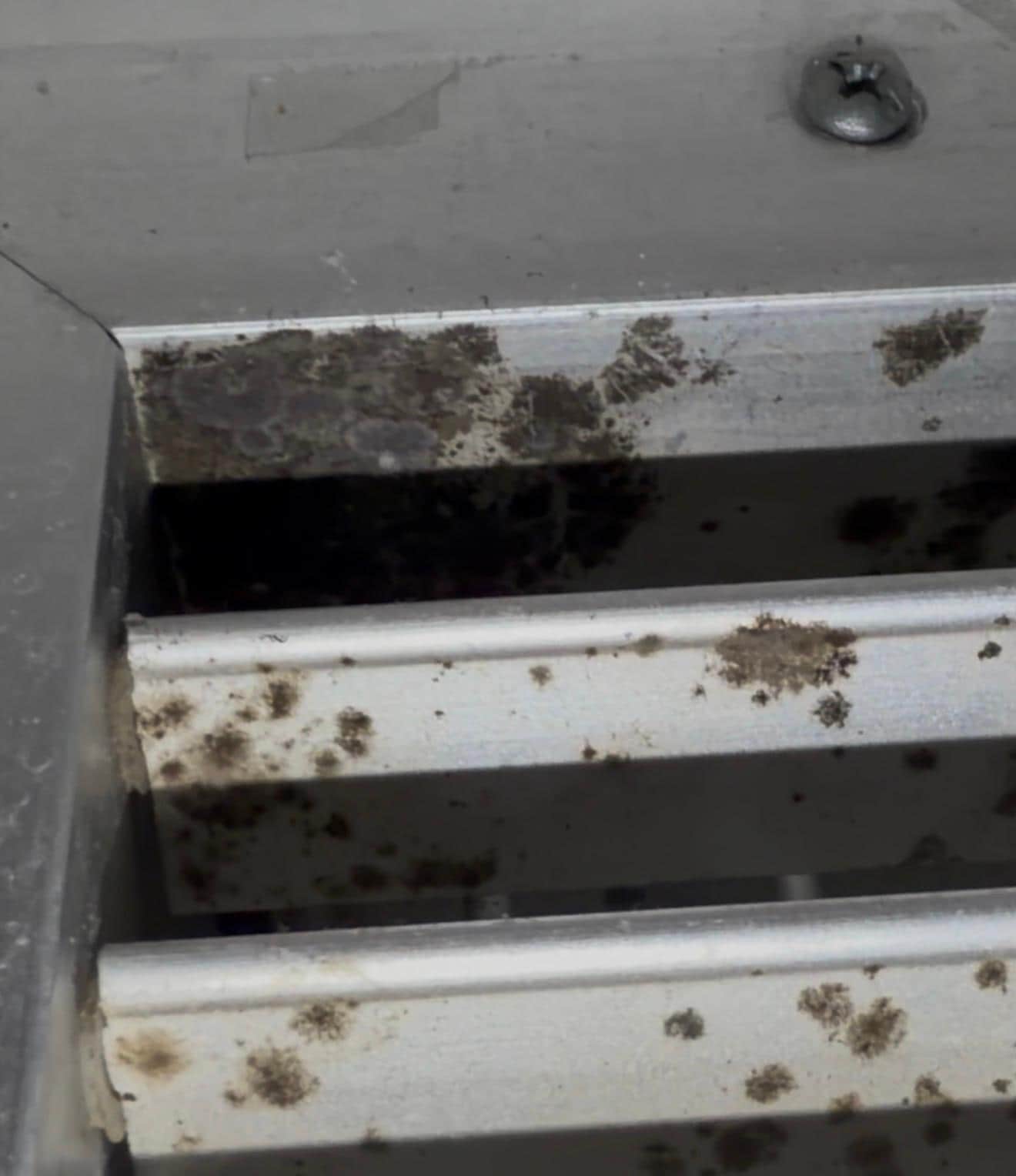 Mold spores on the air vents in the main living room which was completely disregarded by the host as “rust” when confronted for health reasons. 