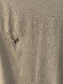 Holes in towels