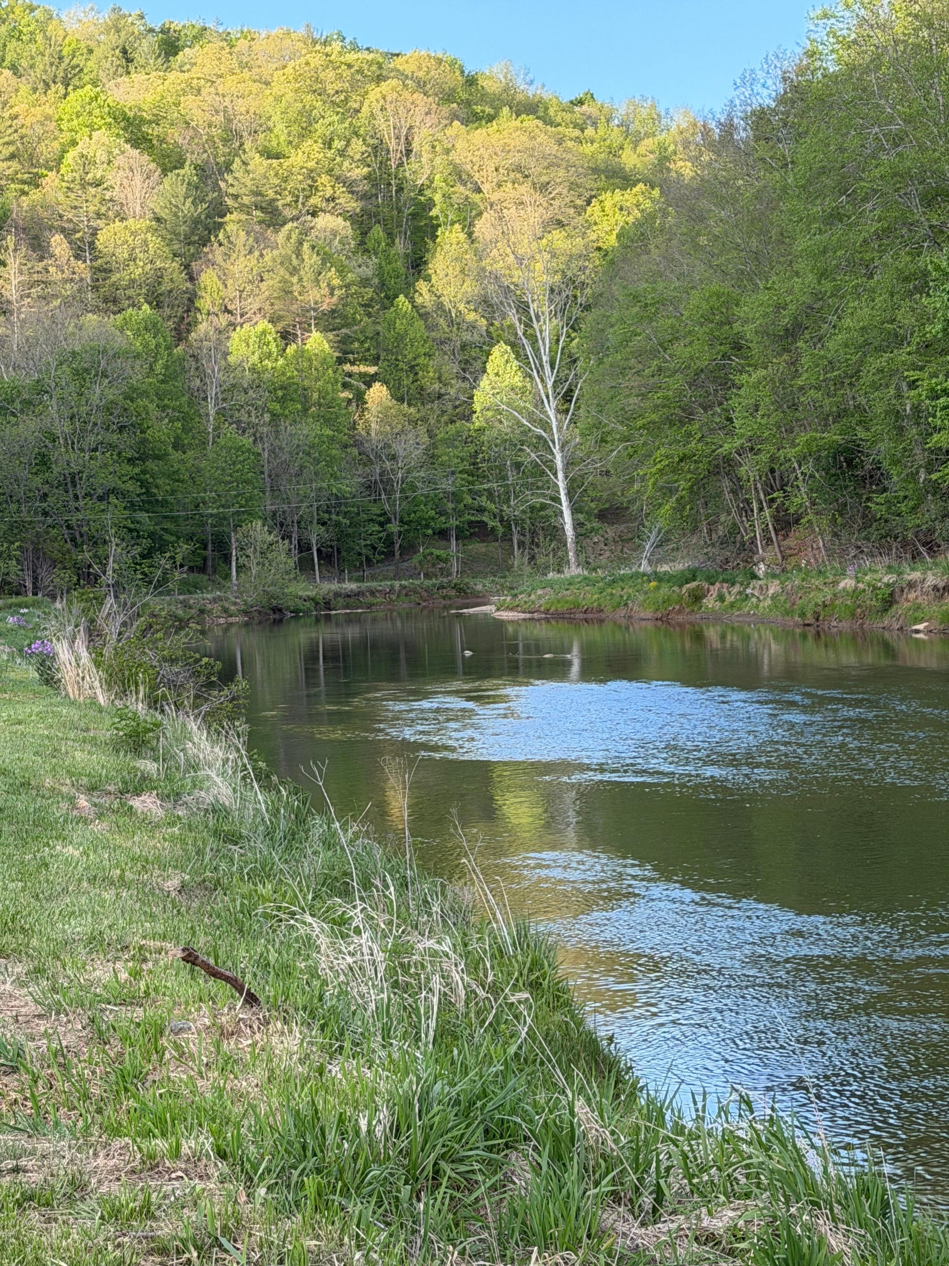 Looking down the river