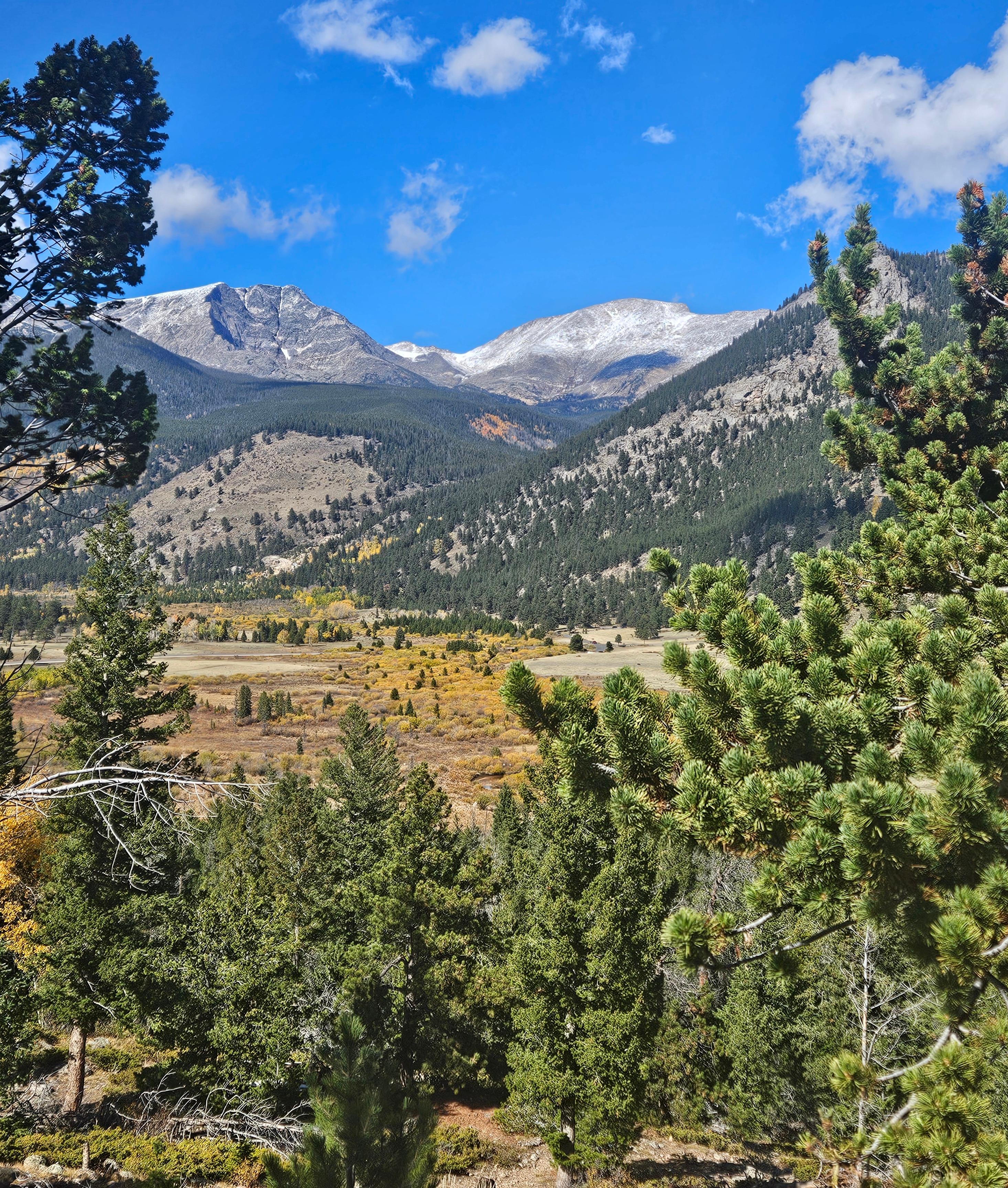 View in RMNP.