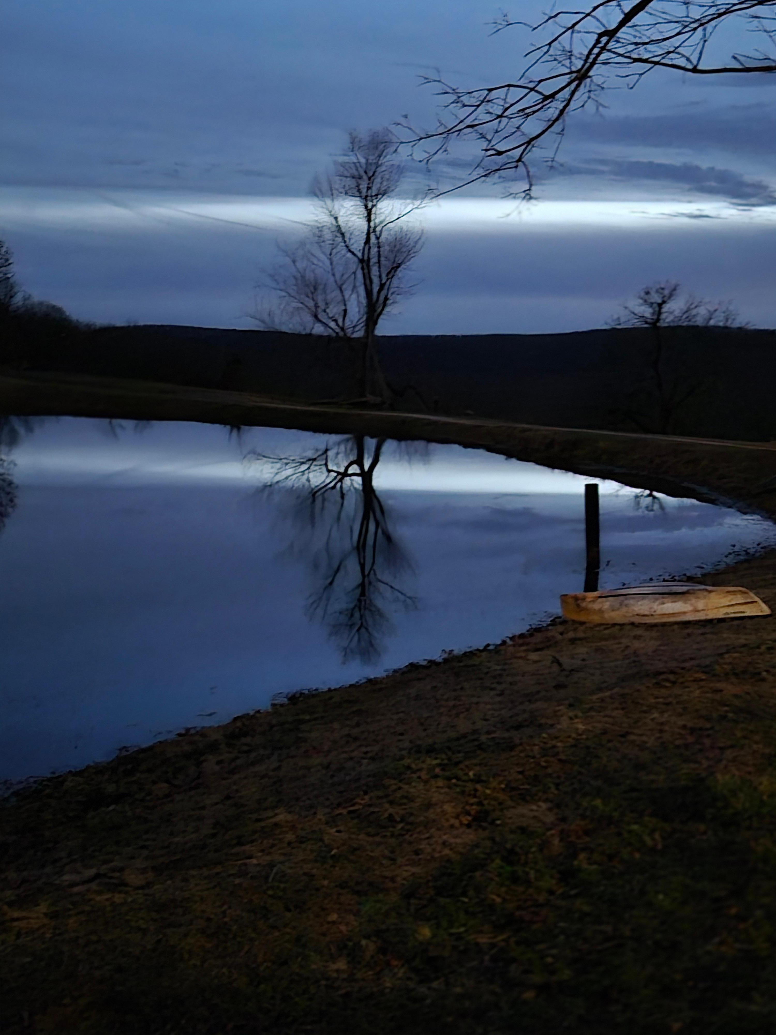 Evening view from the lily pad
