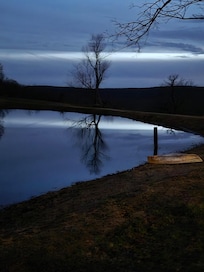 Evening view from the lily pad