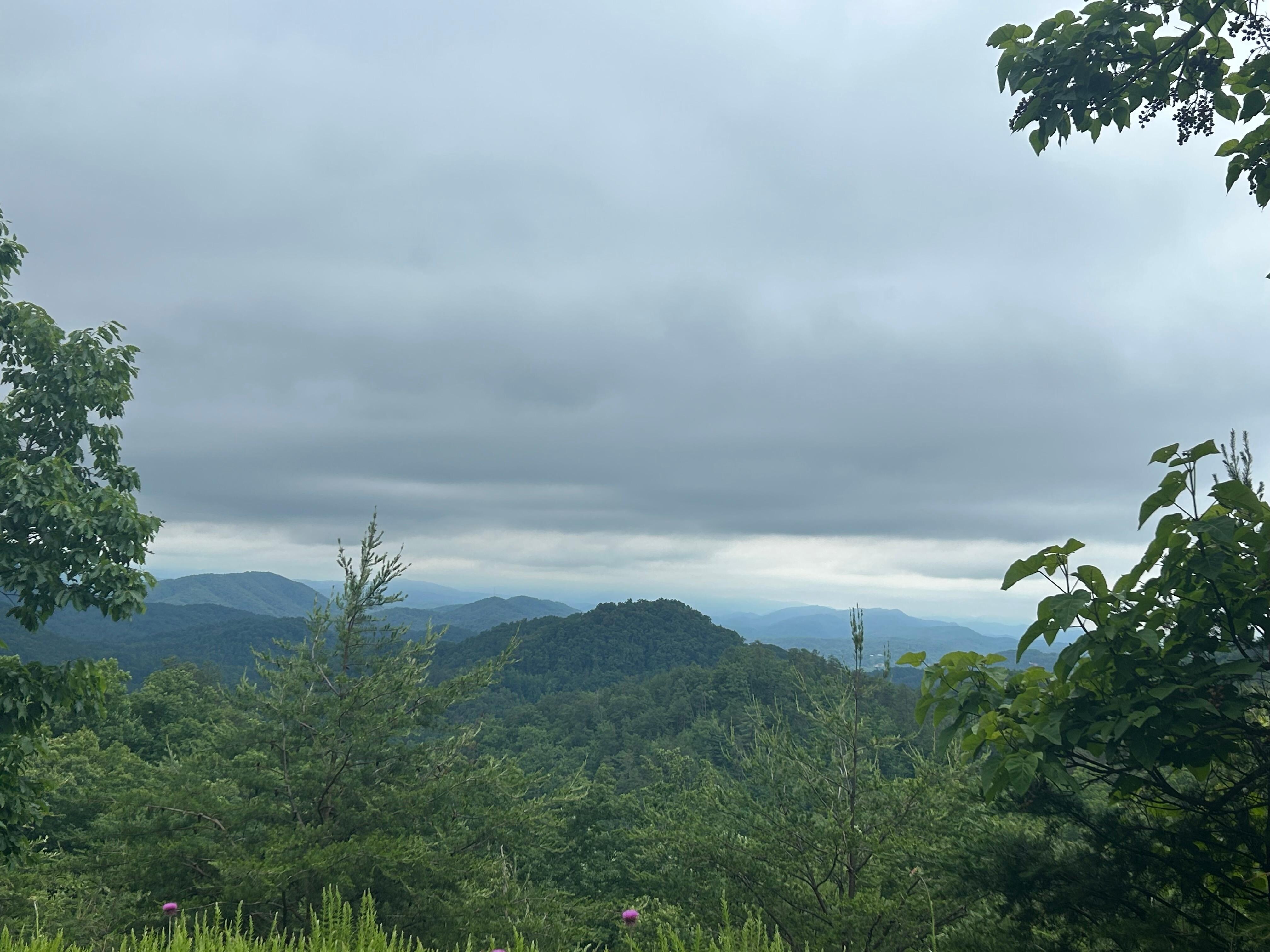 Mountain Views
