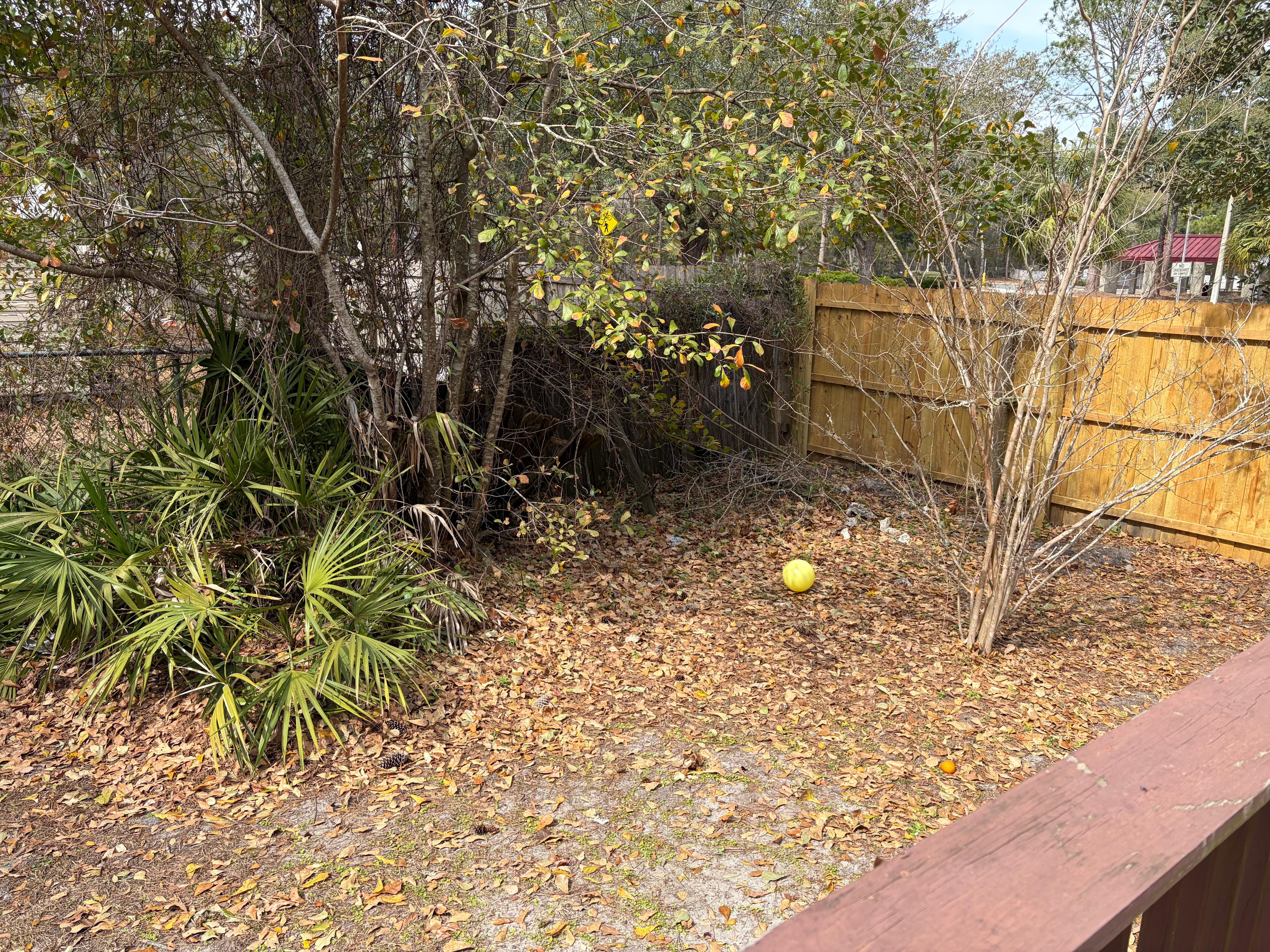 Tons of garbage dead fruit etc… but landscapers were there day of check in???