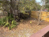 Tons of garbage dead fruit etc… but landscapers were there day of check in???