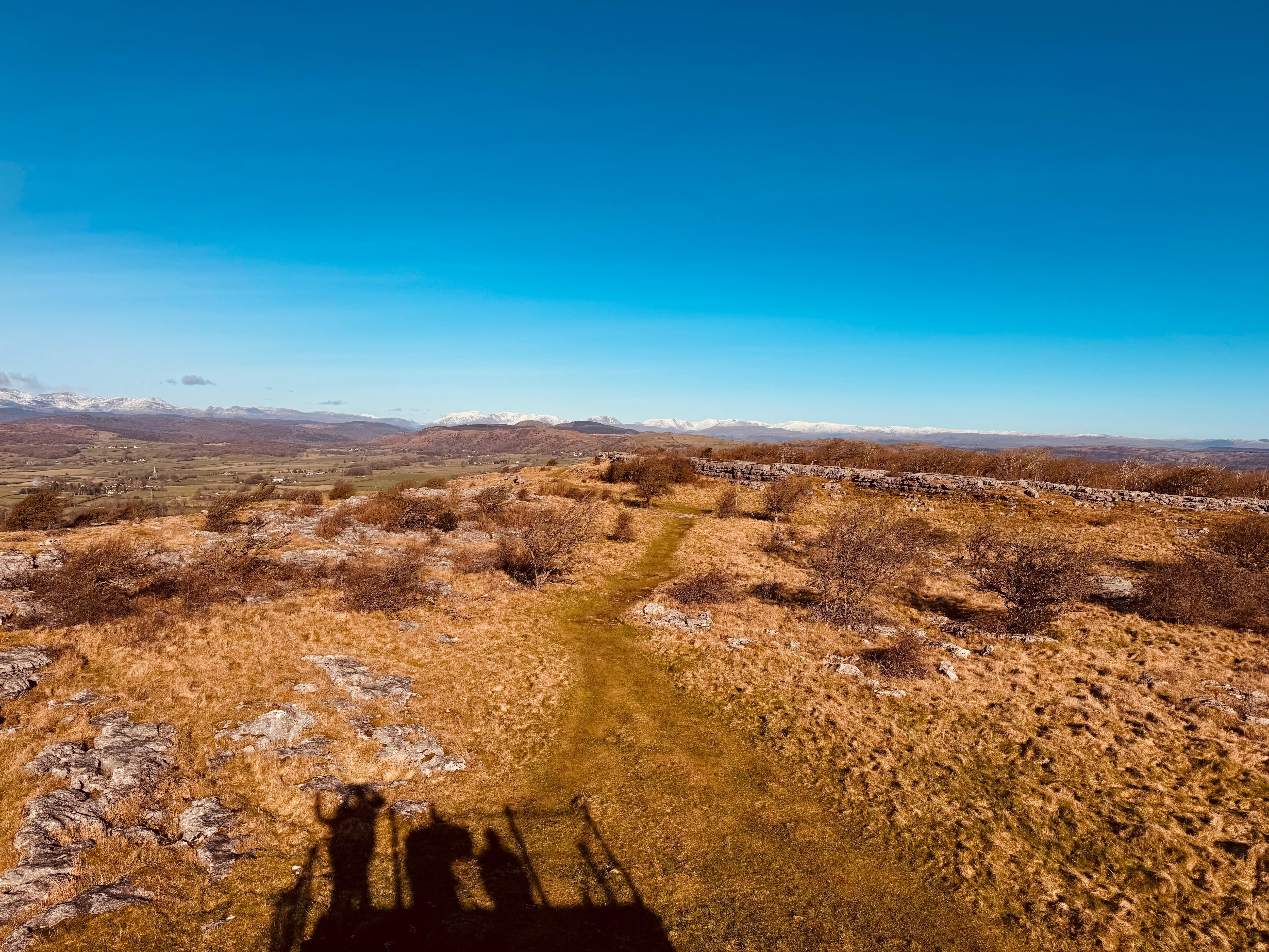 Local walk - Hospice