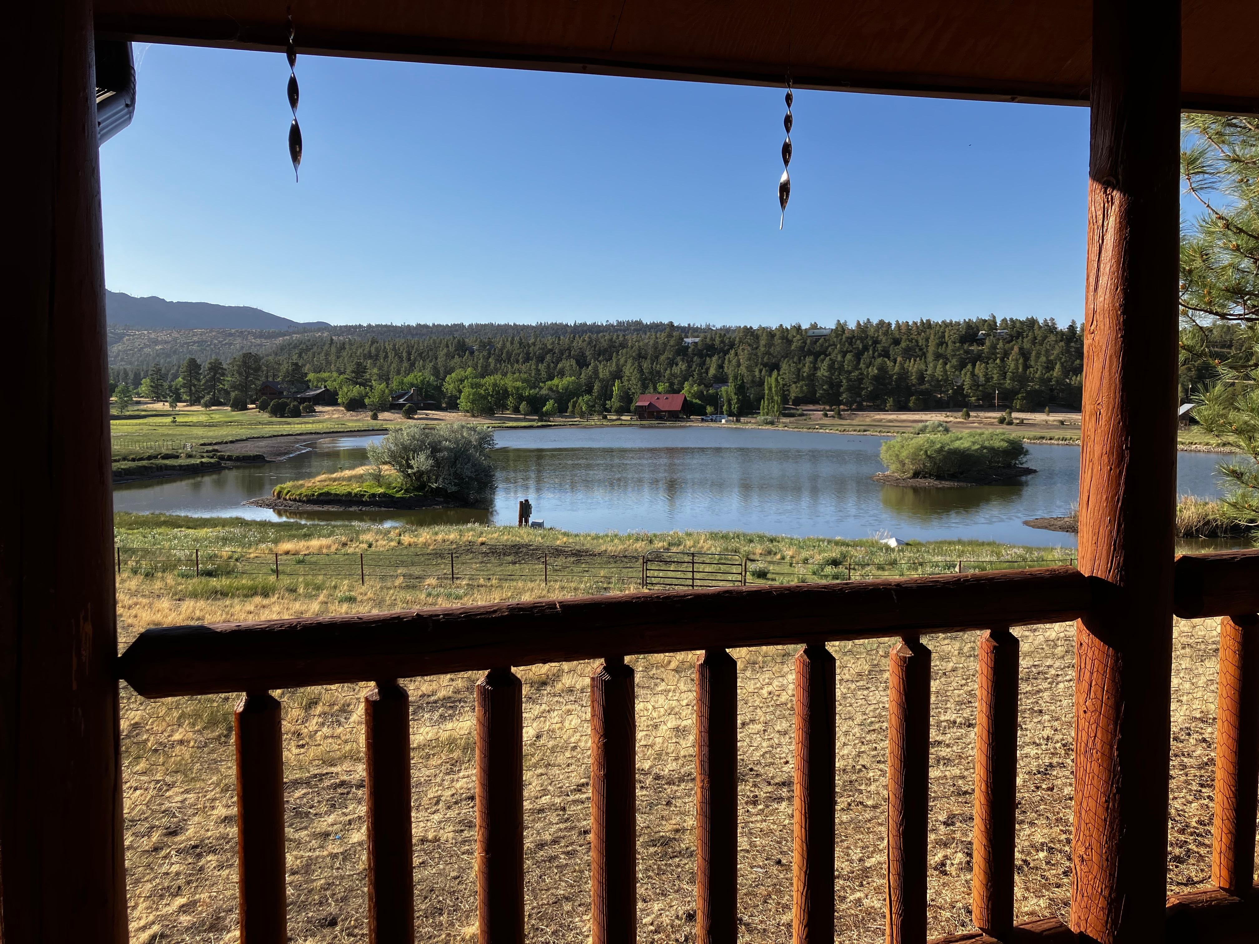  View from back patio