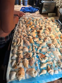 Beach treasures