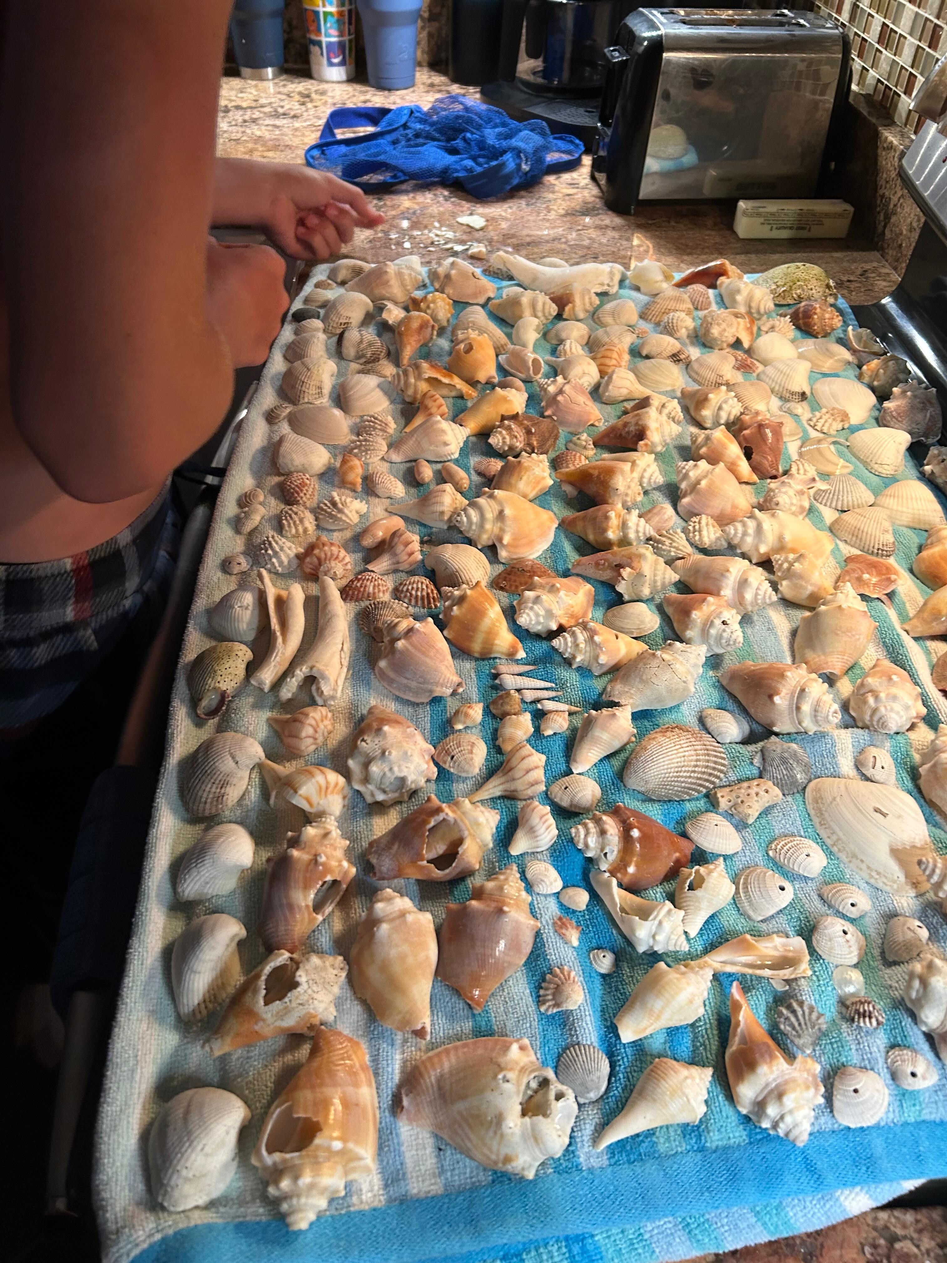 Beach treasures