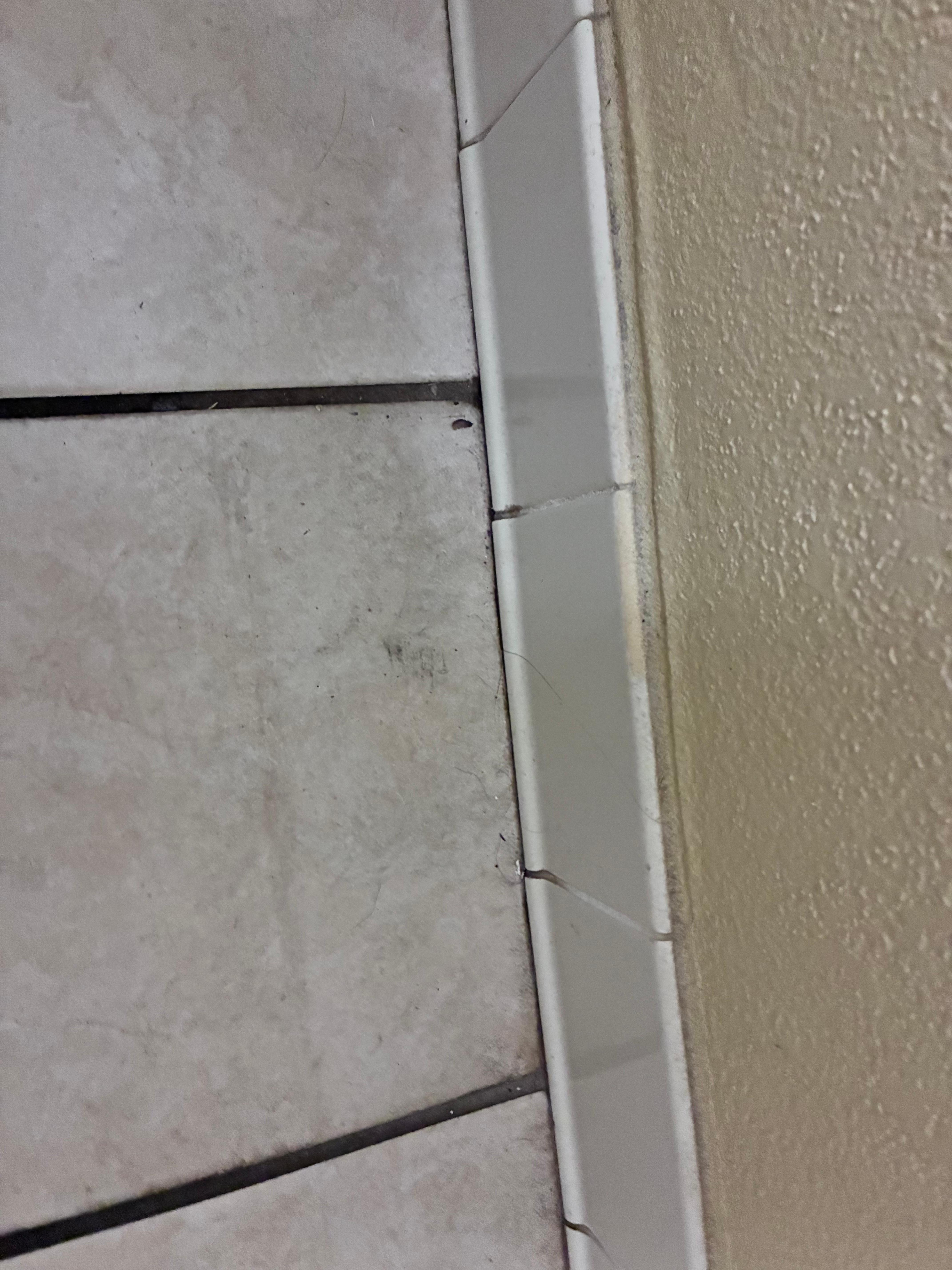 Roach wings and dropping 