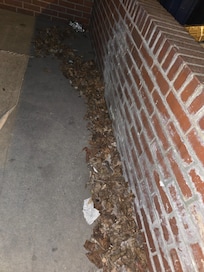 Trash all over the place