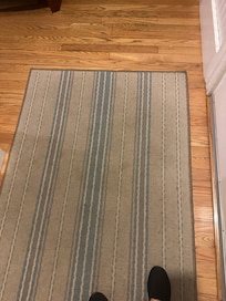 Entrance rug