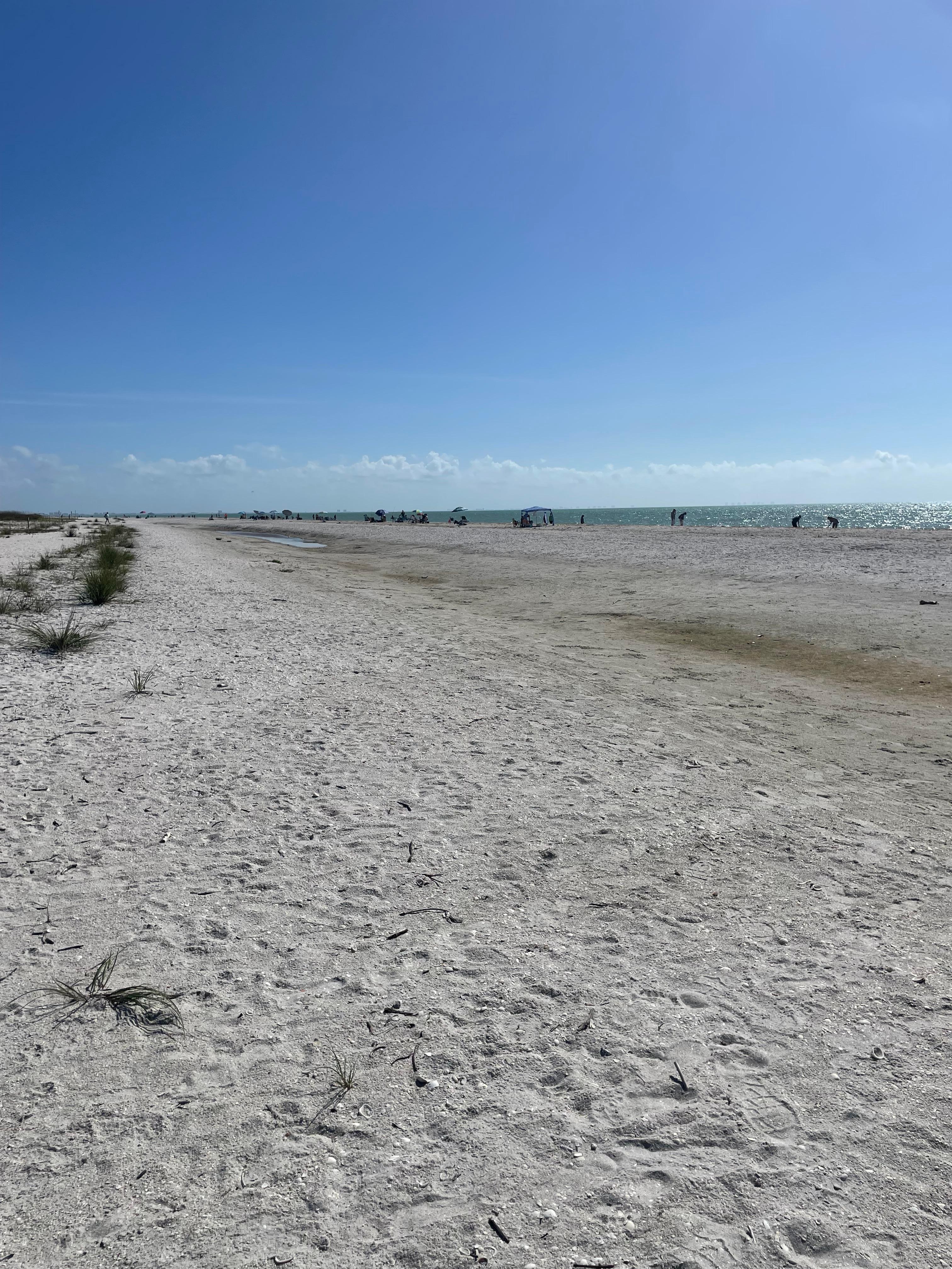 Shelling on the beach