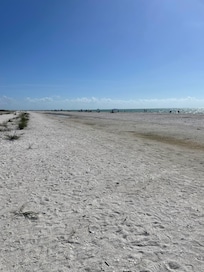 Shelling on the beach