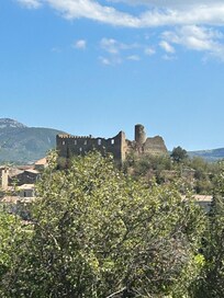 Aussicht von der Anlage auf die Burg