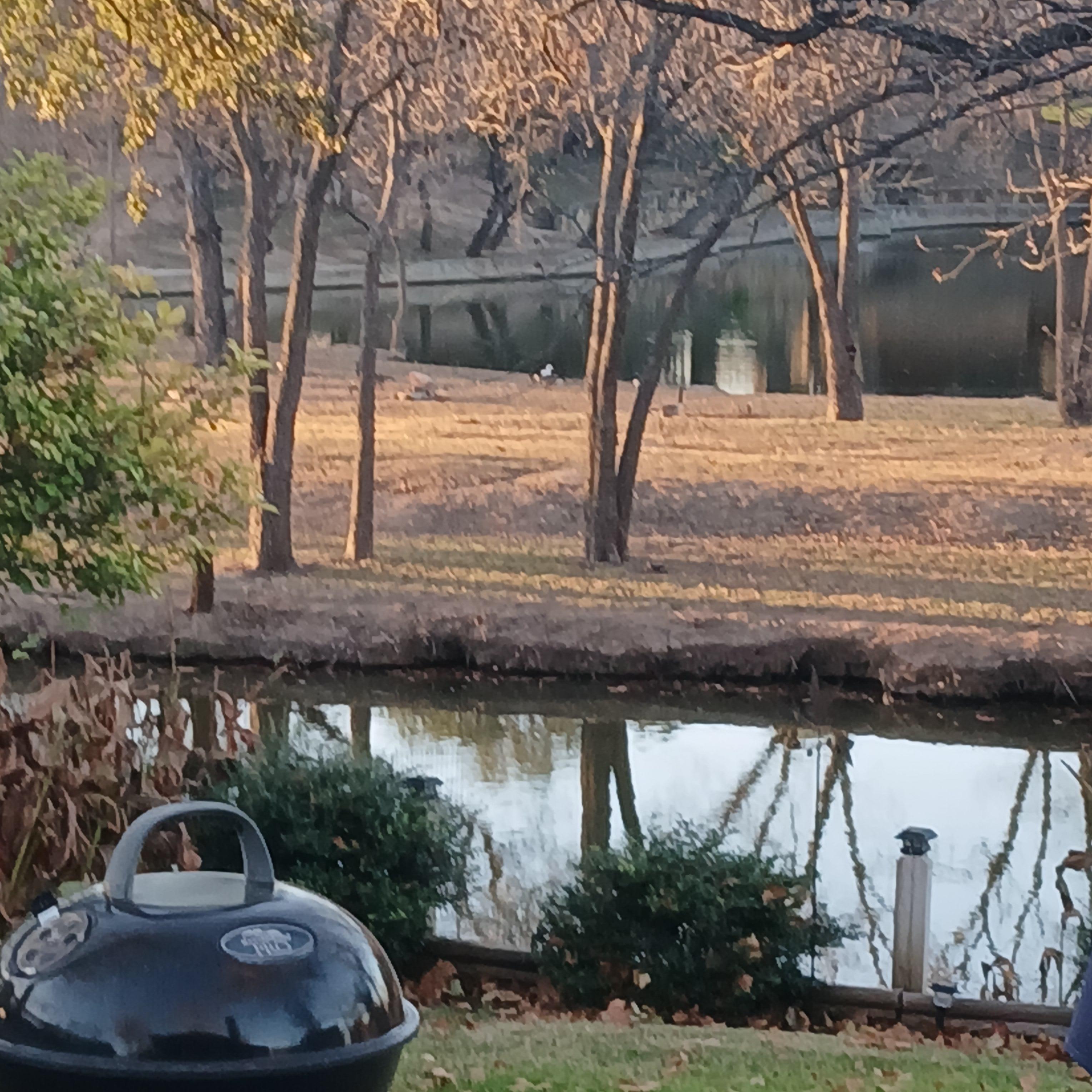 Standing on back porch.